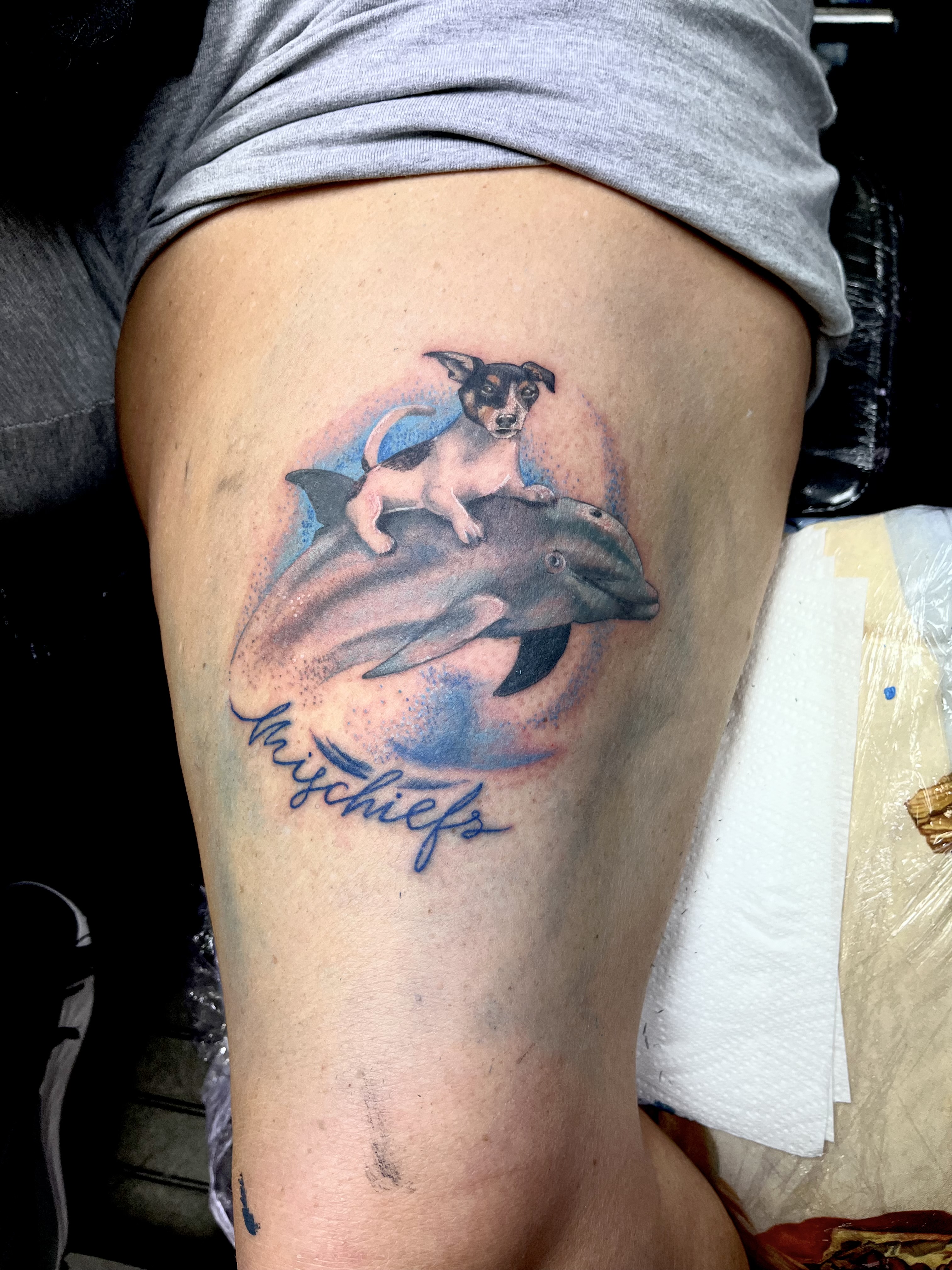 Jack Russell riding a dolphin with Mischiefs script tattoo by Leo