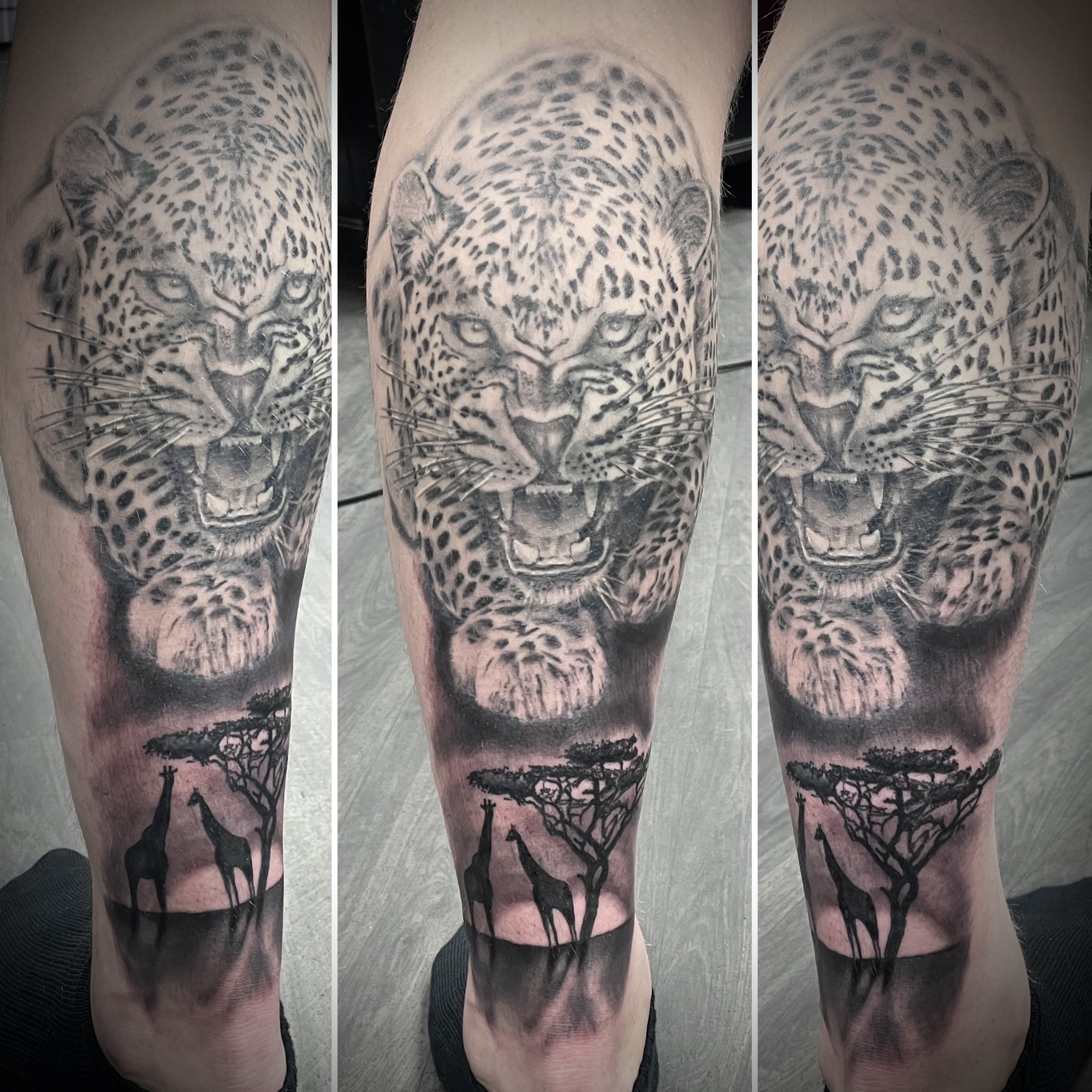 Black and grey snarling leopard with African savanna silhouette and giraffes calf piece by Matt