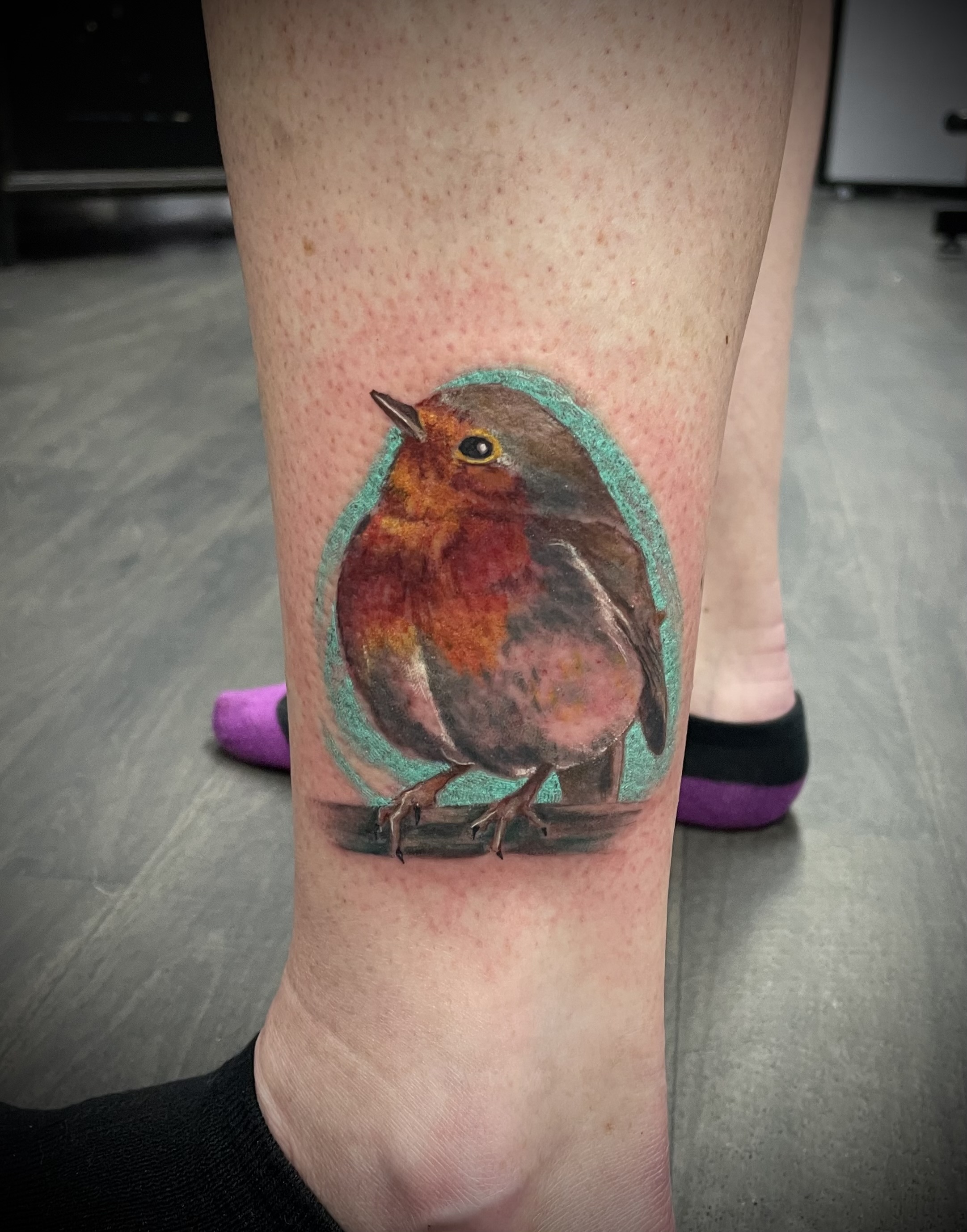 Colour realistic robin perched on branch ankle piece by Matt
