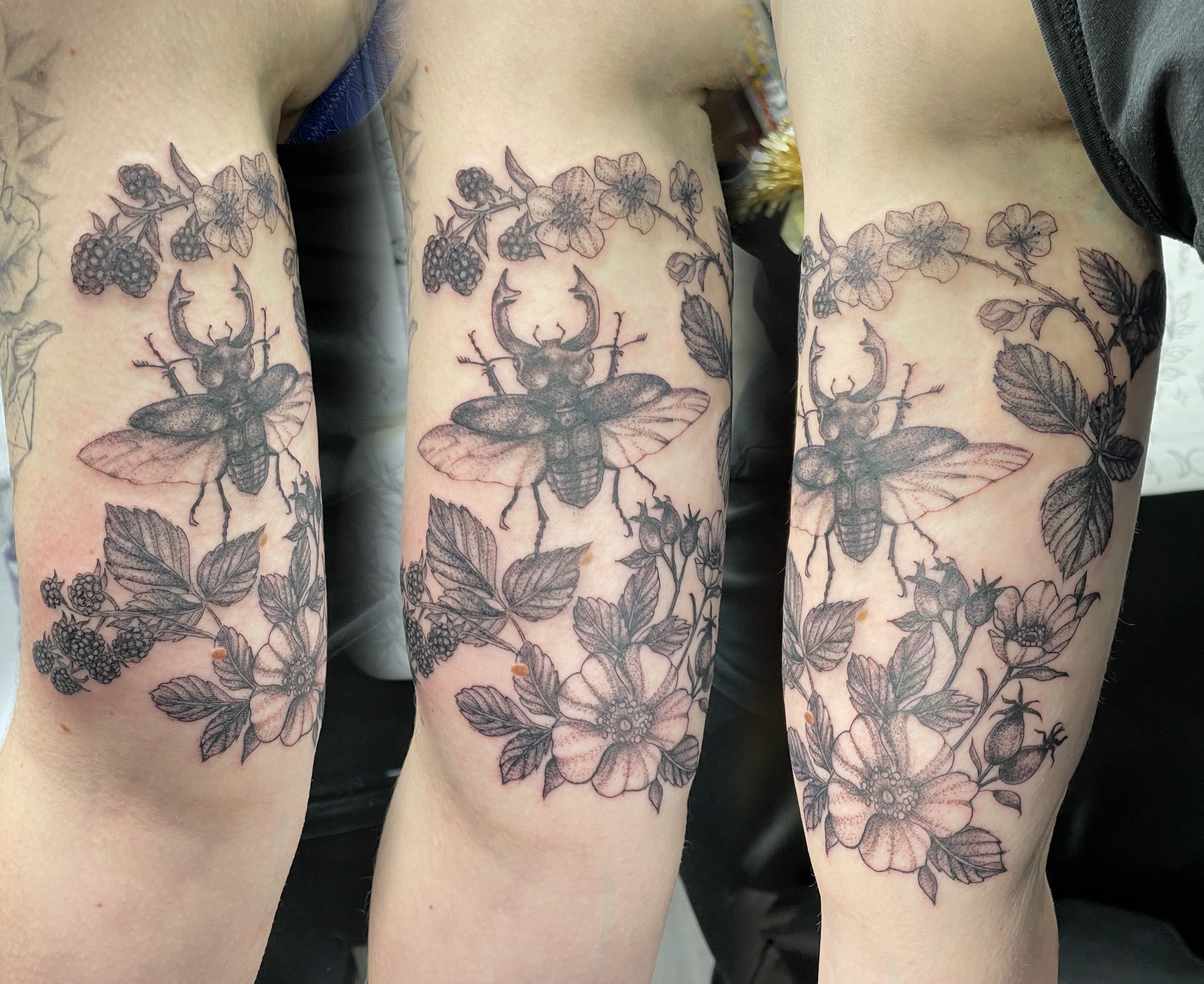 Black and grey stag beetle with blackberry brambles and wild rose botanical upper arm piece by Matt