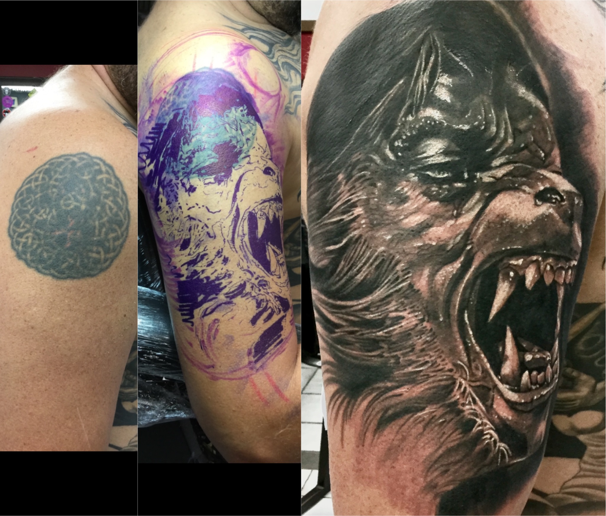 Snarling wolf cover-up over faded Celtic knot showing before, stencil and finished piece by Ray